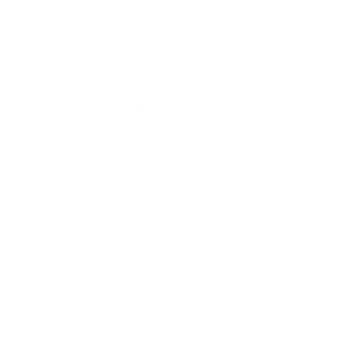 logo11